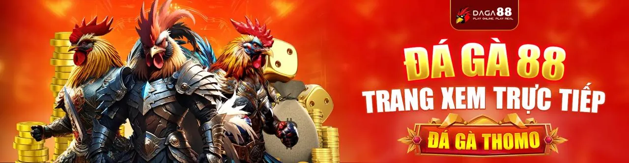 Đá gà trực tuyến sôi động trên 28dt App
