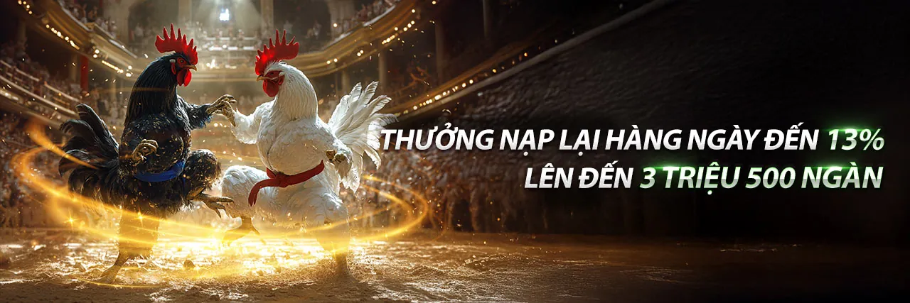 Hệ sinh thái giải trí đa dạng của 28dt App
